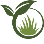 Bougainvillea Planting Pros