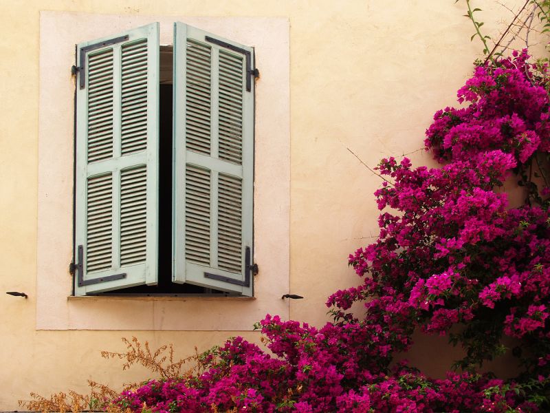 Completed Bougainvillea Installations