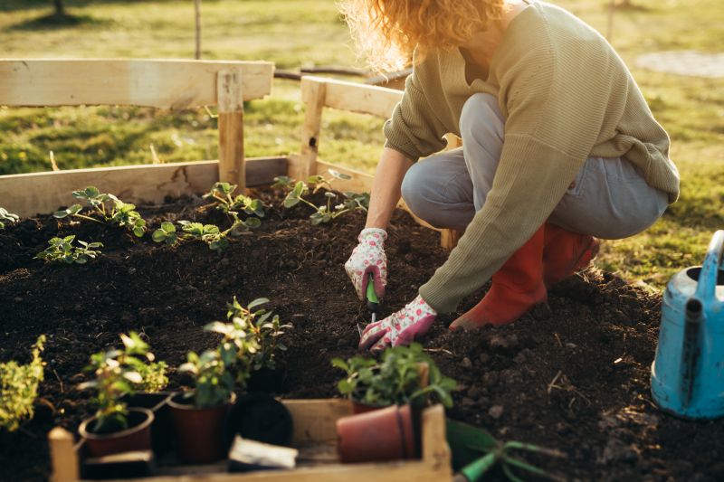Bush Planting Service in Ventura County, CA