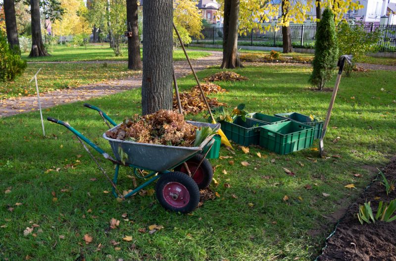 Bougainvillea Planting