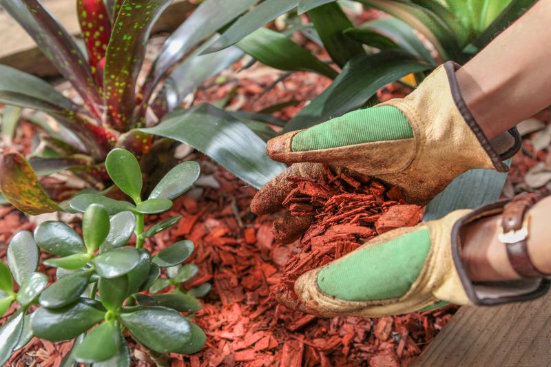Shredded Mulch Installation in Ventura County, CA